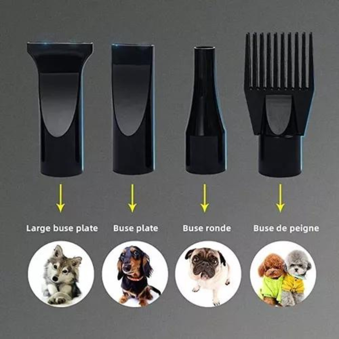 Secadora Pelo Perro Mascota Gato Turbina Secadora 220v 2800w