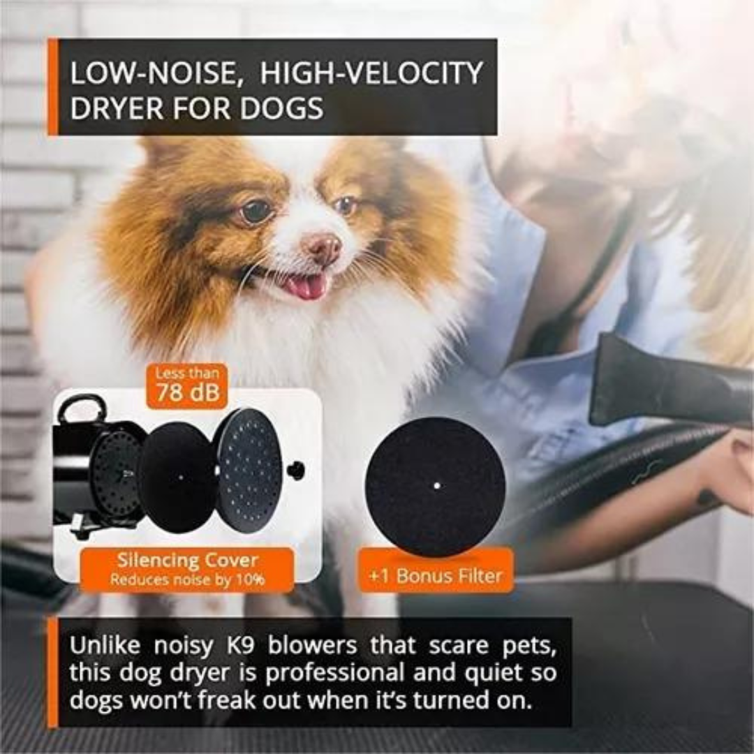 Secadora Pelo Perro Mascota Gato Turbina Secadora 220v 2800w